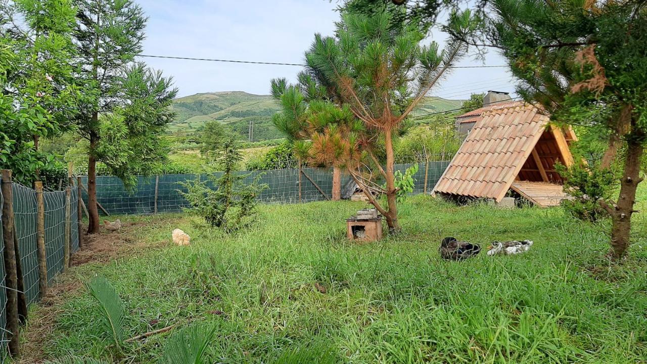 Quinta Das Primas Lomba  Екстериор снимка